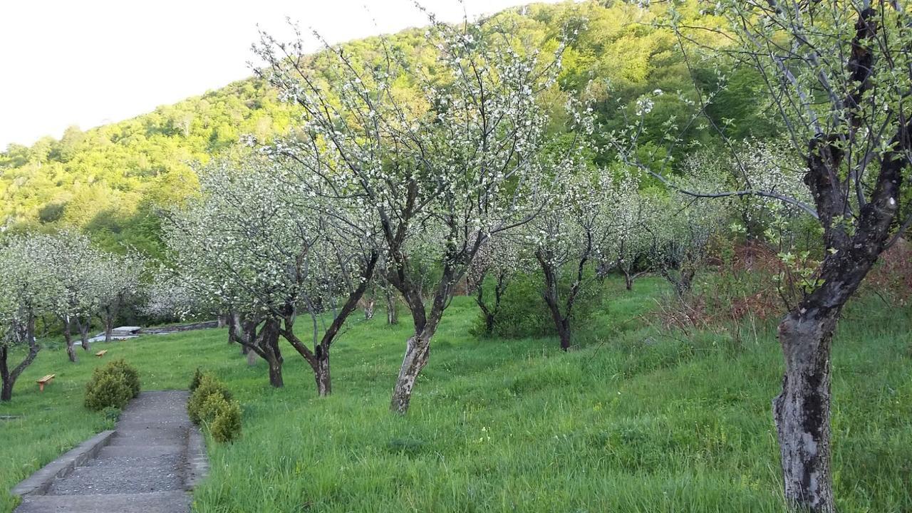 Odzun Hotel Alaverdi Dış mekan fotoğraf